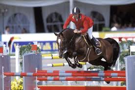 Lux Z - Showjumping Stallion